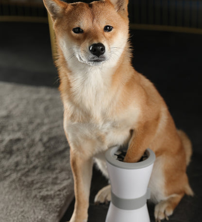 Revolutionary Electric Foot Washing Cups for Your Beloved Pets