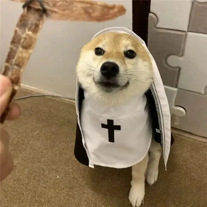 Unisex Polyester Halloween Pet Nun Costume with Hood and Band, Humorous All-Season Apparel for Small to Medium Dogs and Cats, Ideal for Parties and Photography