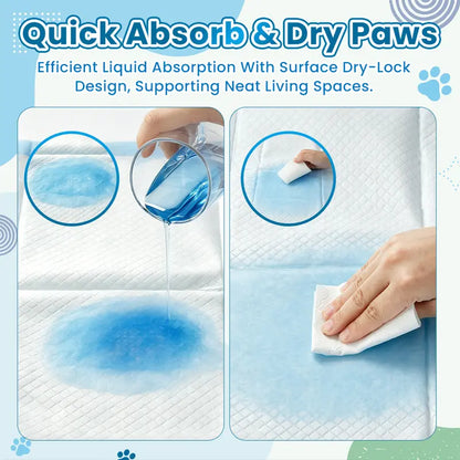 Extra Large 34” x 28” Pet Training Pads (50 Count) - Diamond Embossed, Fast-Absorb, Thick Multi-Layer, Latex-Free, Skin-Friendly Quick-Dry Solution for Puppies and Cats
