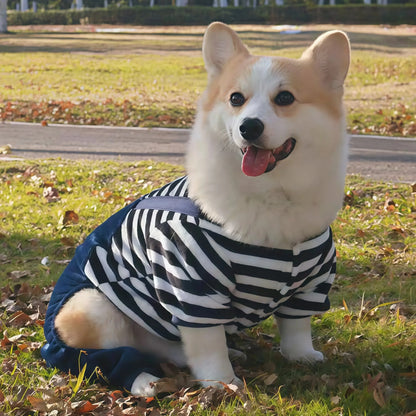 Herbst-Winter-Haustier-Hundemantel Aus Weichem Fleece, Warmer Overall Für Kleine, Mittelgroße Und Große Hunde, Katzen Und Welpen, Jacke, Pullover Mit Leinenring