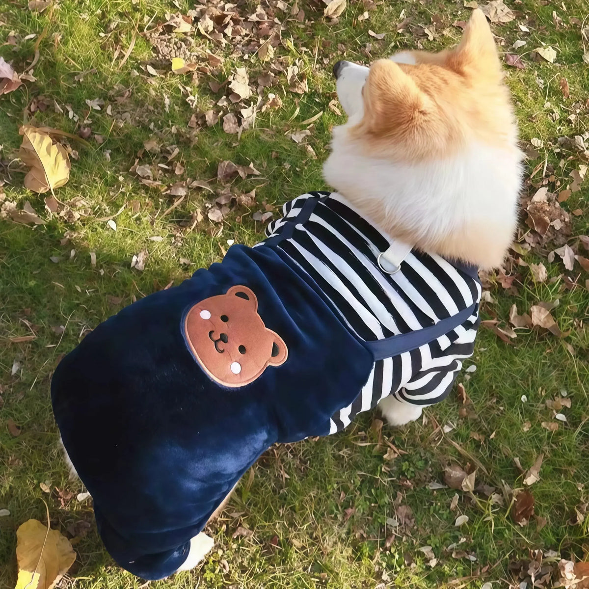 Herbst-Winter-Haustier-Hundemantel Aus Weichem Fleece, Warmer Overall Für Kleine, Mittelgroße Und Große Hunde, Katzen Und Welpen, Jacke, Pullover Mit Leinenring