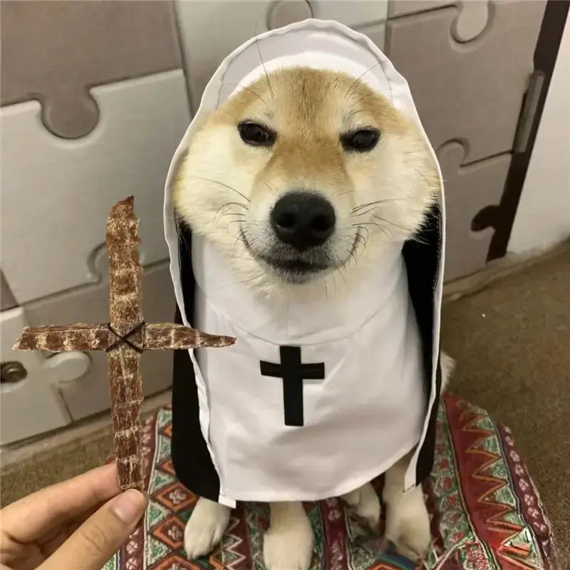 Unisex Polyester Halloween Pet Nun Costume with Hood and Band, Humorous All-Season Apparel for Small to Medium Dogs and Cats, Ideal for Parties and Photography