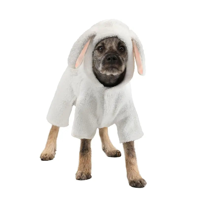 Canine Sheepdog Costume