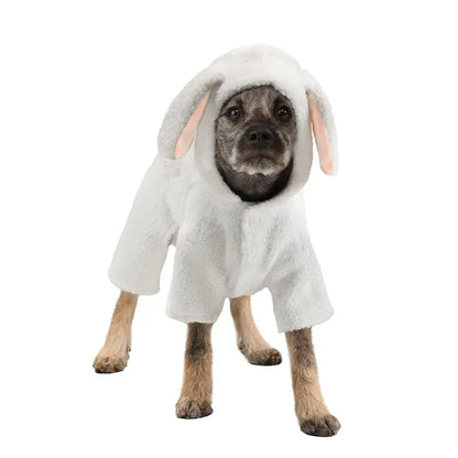 Canine Sheepdog Costume
