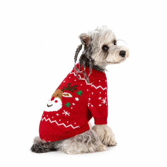 Weihnachtspullover für Hunde & Katzen